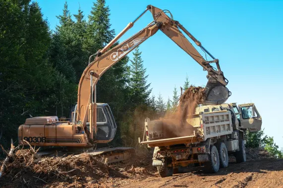 BetMotion Cazino Cazinou Suport